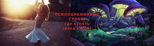 МДПВ Абинск