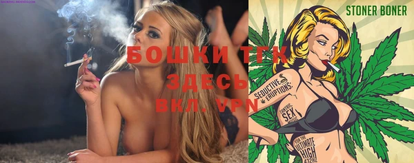 дмт Алексин