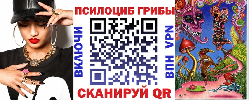 даркнет сайт  Павловский Посад  Псилоцибиновые грибы Psilocybe 