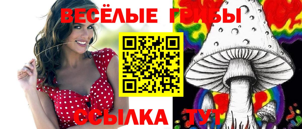 магазин продажи наркотиков  Галлюциногенные грибы Psilocybe  Галлюциногенные грибы прущие грибы  Вход с VPN  Павловский Посад 