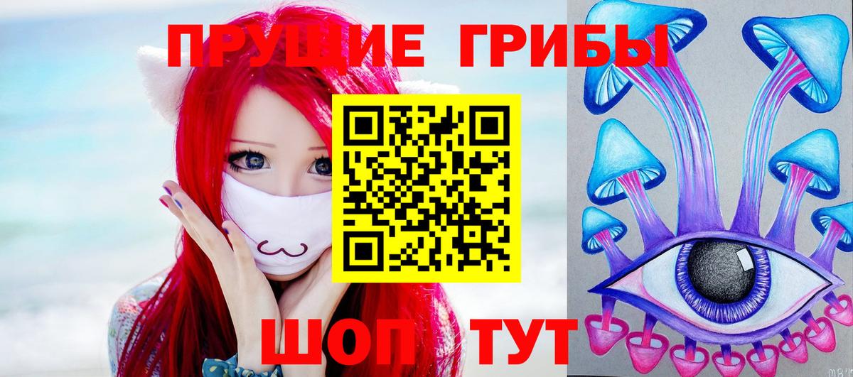 Галлюциногенные грибы Psilocybine cubensis Павловский Посад